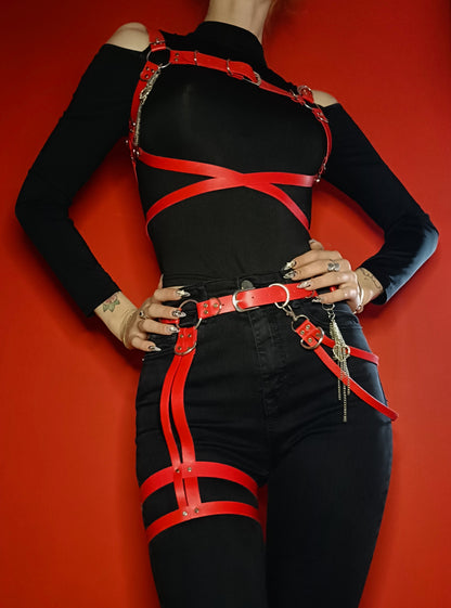 The ''Eros'' compelte  harness set.