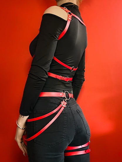 The ''Eros'' compelte  harness set.